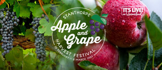 Celebrating the Heart of the Granite Belt – Apple & Grape Festival