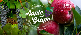 Celebrating the Heart of the Granite Belt – Apple & Grape Festival - Pink Poppies