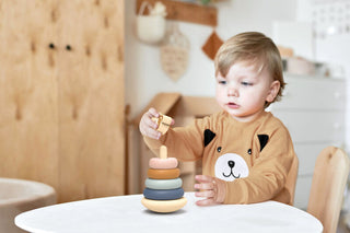 Speedy Monkey Roly Poly Stacker