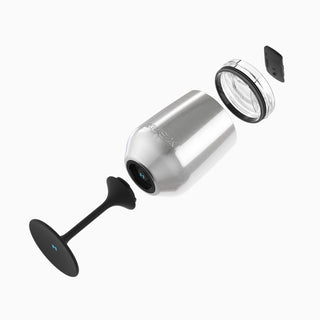 Huski Wine Tumbler 2.0 - Champagne | Pink Poppies