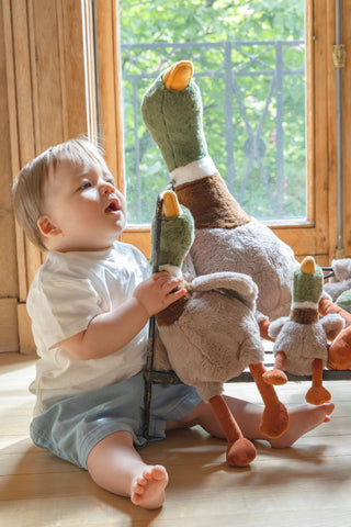 Nana Huchy Big Hugo The Mallard Duck 