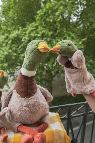 Nana Huchy Hoochy Coochie - Hugo The Mallard Duck