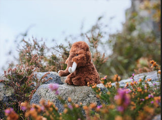 Charlie Bears Cuddle Cub - Wooly Mammoth | Pink Poppies
