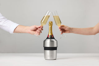 Huski Champagne Cooler - Brushed Stainless | Pink Poppies