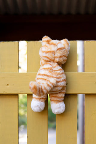 Nana Huchy Ginger The Kitten | Pink Poppies