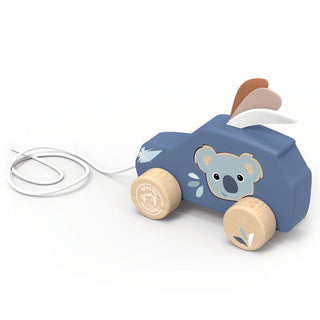 Speedy Monkey Pull Along Car