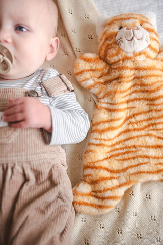 Nana Huchy Hoochy Coochie - Ginger The Cat 