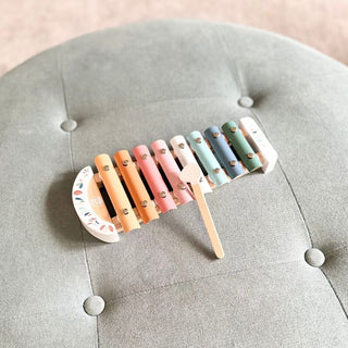 Speedy Monkey Xylophone | Pink Poppies